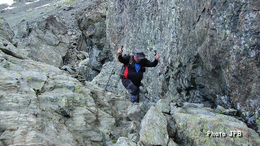 Bouquetin égaré Bouquetin égaré