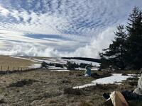 Pique nique Pique nique