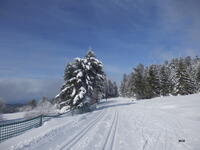 Sur les pistes Sur les pistes