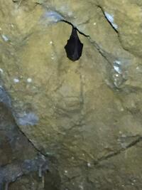 Ne pas trop la déranger dans son sommeil Ne pas trop la déranger dans son sommeil